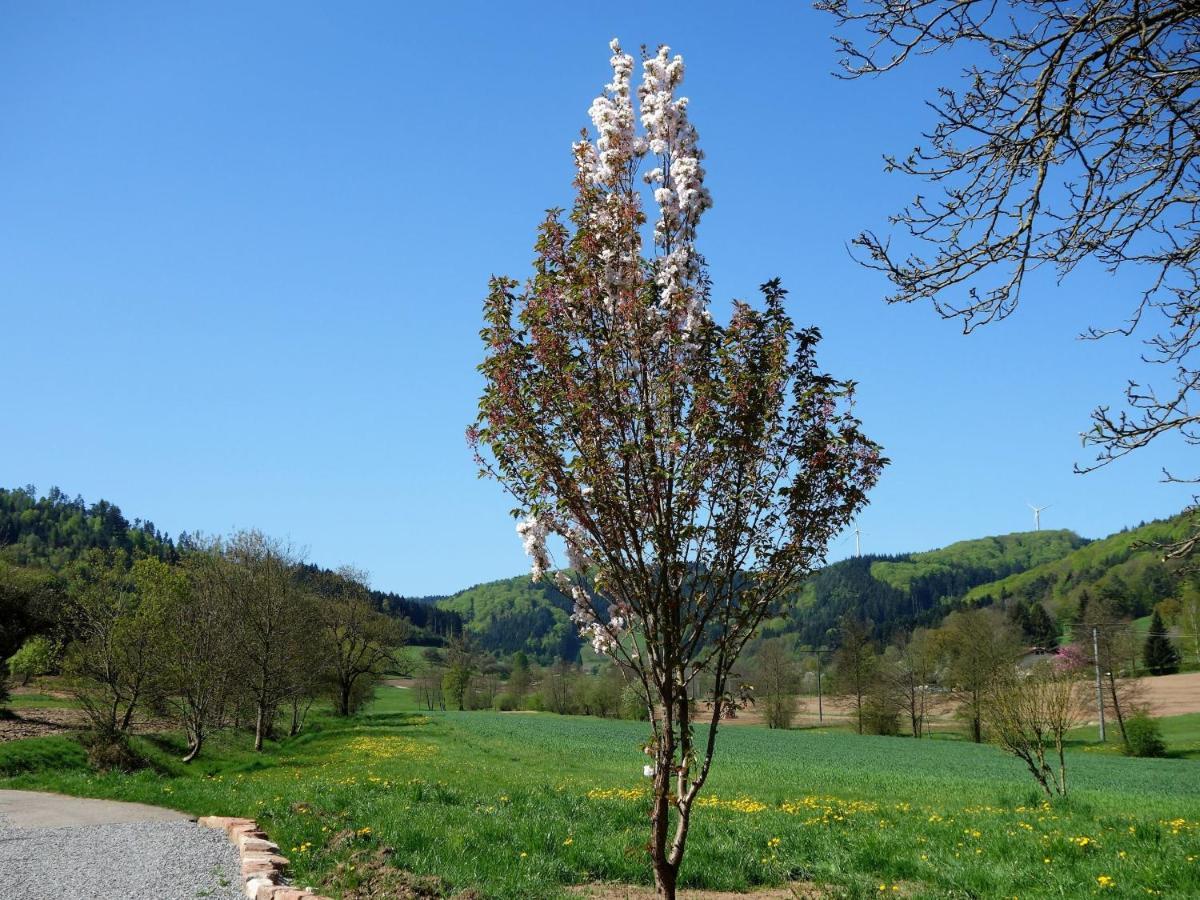 Ferienwohnungen Braun Seelbach  Εξωτερικό φωτογραφία